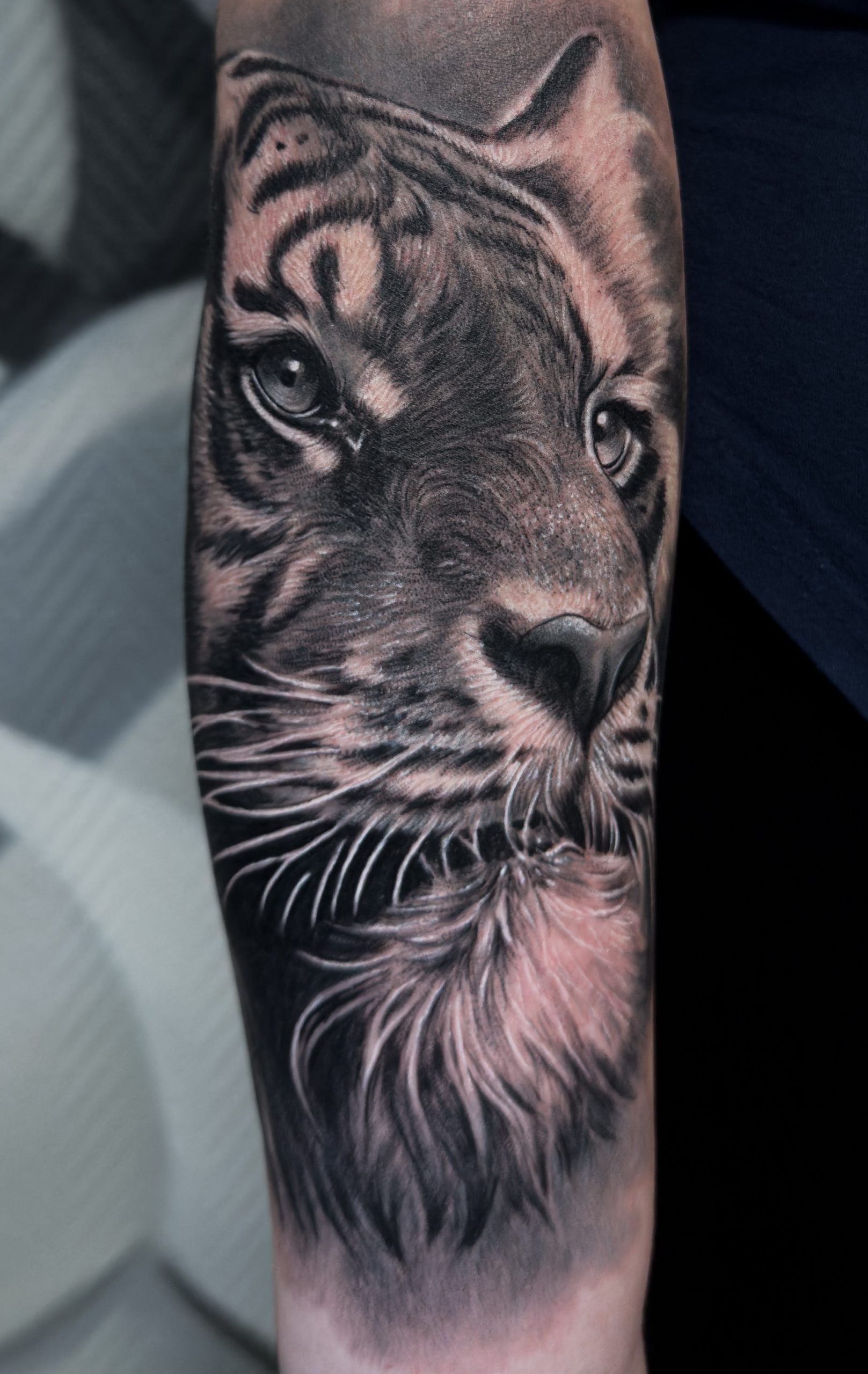 Tiger Tattoo Bayern